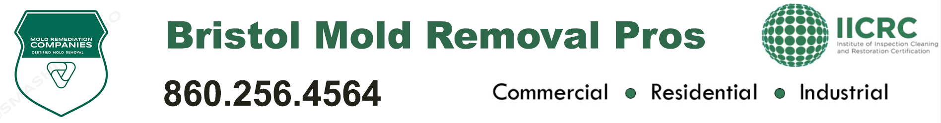 Bristol Mold Removal Pros