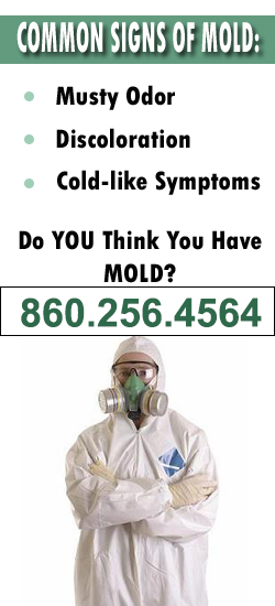 Bristol Mold Remediation Contractor